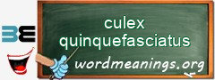 WordMeaning blackboard for culex quinquefasciatus